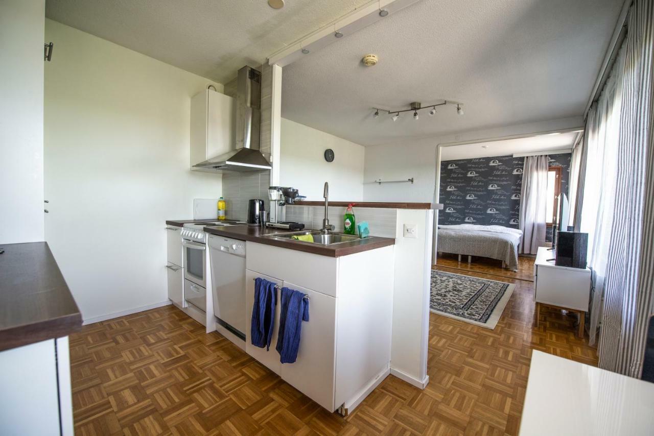 Mikkeli Citycenter Apartment With Sauna エクステリア 写真
